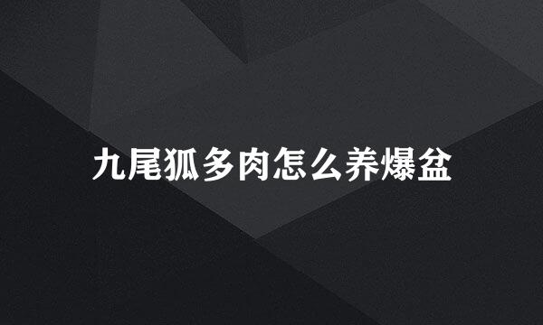 九尾狐多肉怎么养爆盆