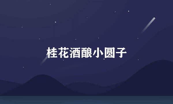 桂花酒酿小圆子