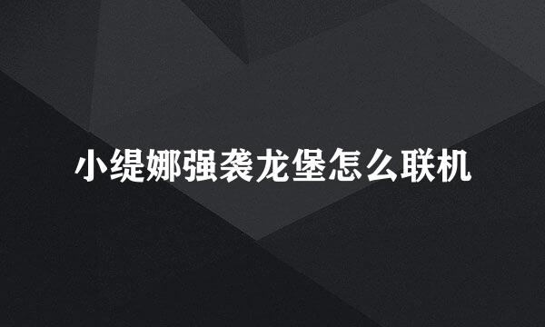 小缇娜强袭龙堡怎么联机