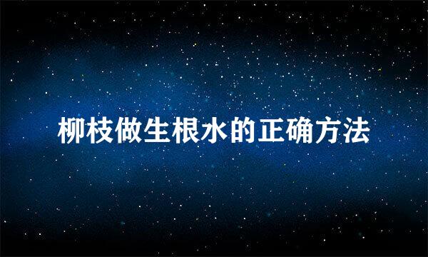 柳枝做生根水的正确方法