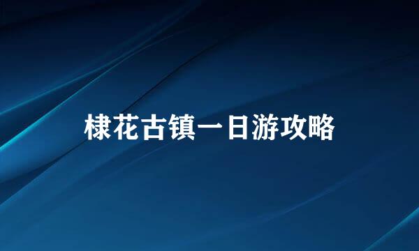 棣花古镇一日游攻略