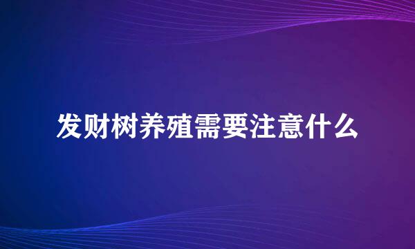 发财树养殖需要注意什么