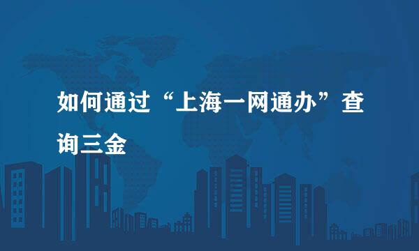 如何通过“上海一网通办”查询三金