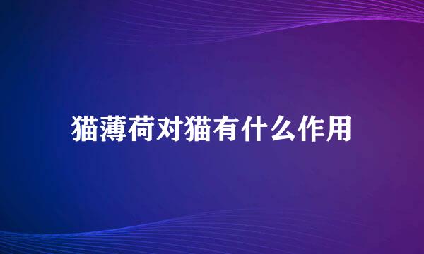 猫薄荷对猫有什么作用