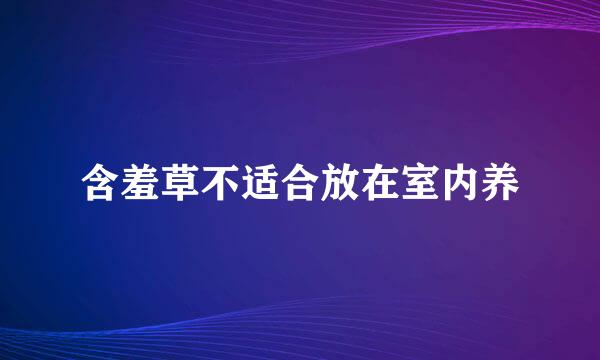 含羞草不适合放在室内养