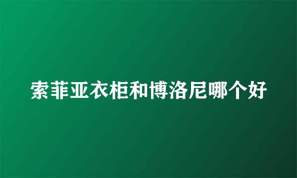 索菲亚衣柜和博洛尼哪个好