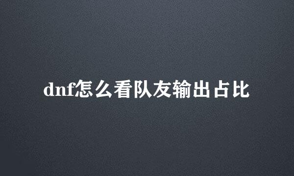 dnf怎么看队友输出占比