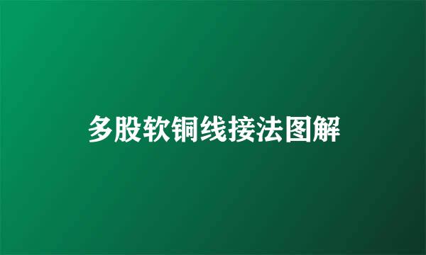 多股软铜线接法图解