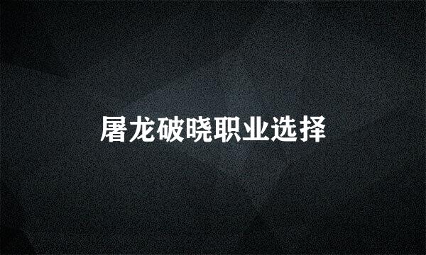屠龙破晓职业选择
