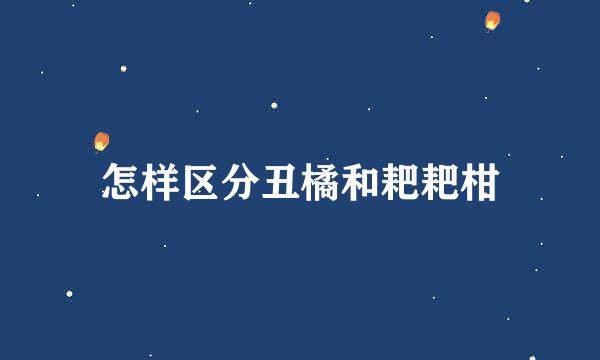 怎样区分丑橘和耙耙柑