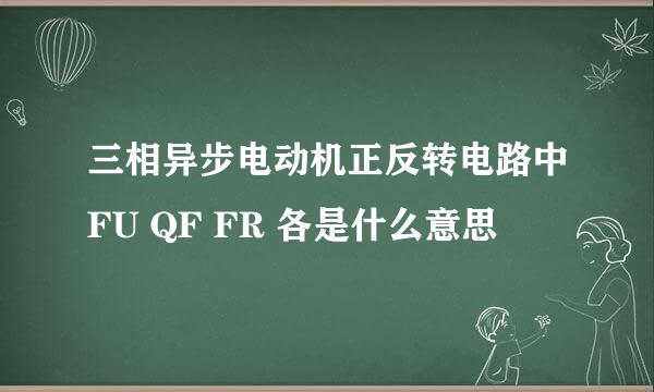 三相异步电动机正反转电路中FU QF FR 各是什么意思