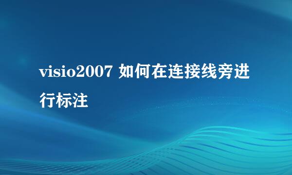 visio2007 如何在连接线旁进行标注