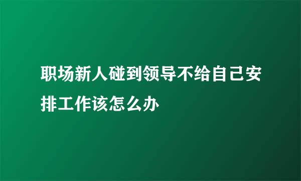 职场新人碰到领导不给自己安排工作该怎么办