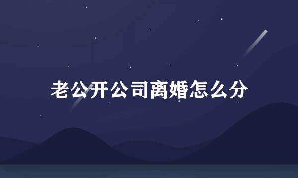 老公开公司离婚怎么分