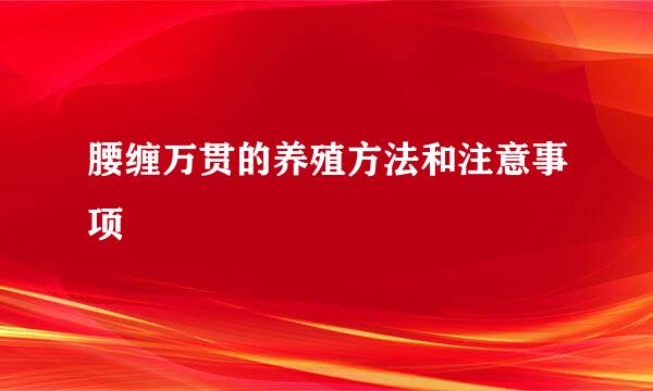 腰缠万贯的养殖方法和注意事项