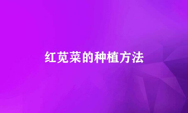 红苋菜的种植方法