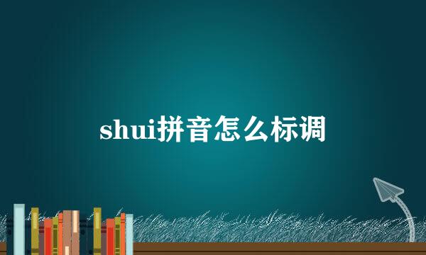 shui拼音怎么标调