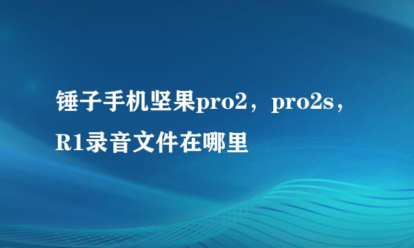 锤子手机坚果pro2，pro2s，R1录音文件在哪里