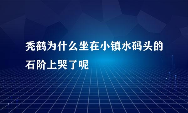 秃鹤为什么坐在小镇水码头的石阶上哭了呢