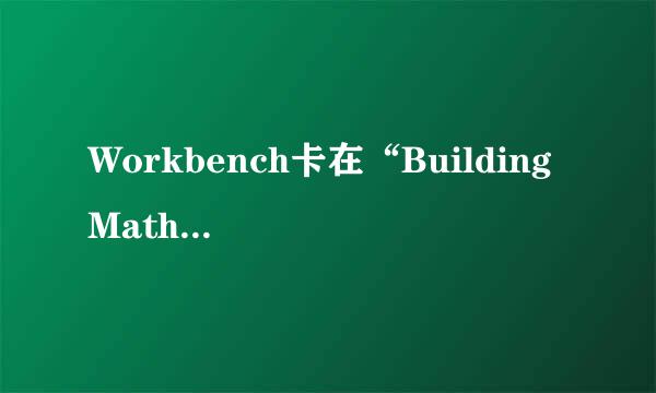 Workbench卡在“Building Mathematical Model”