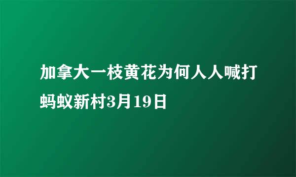 加拿大一枝黄花为何人人喊打蚂蚁新村3月19日