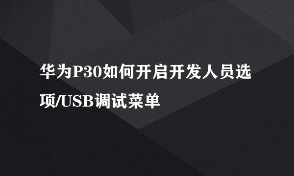 华为P30如何开启开发人员选项/USB调试菜单
