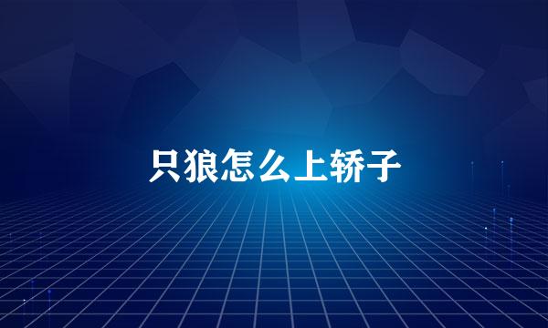 只狼怎么上轿子