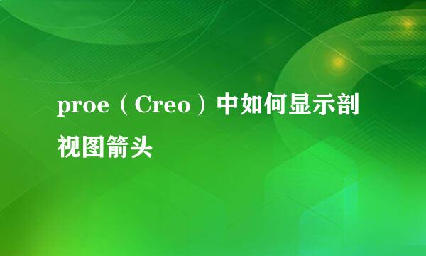 proe（Creo）中如何显示剖视图箭头