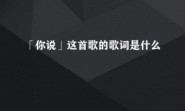 「你说」这首歌的歌词是什么