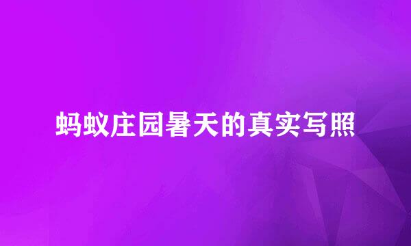 蚂蚁庄园暑天的真实写照