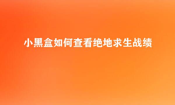 小黑盒如何查看绝地求生战绩