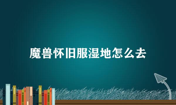 魔兽怀旧服湿地怎么去