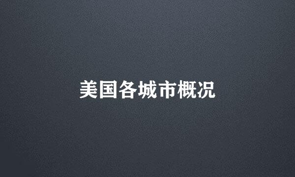 美国各城市概况