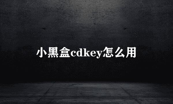 小黑盒cdkey怎么用