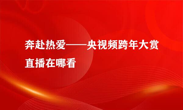 奔赴热爱——央视频跨年大赏直播在哪看