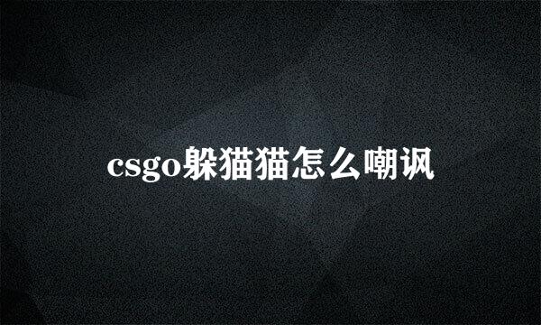csgo躲猫猫怎么嘲讽