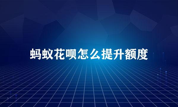 蚂蚁花呗怎么提升额度