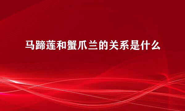 马蹄莲和蟹爪兰的关系是什么