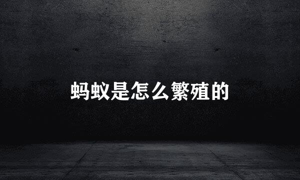 蚂蚁是怎么繁殖的