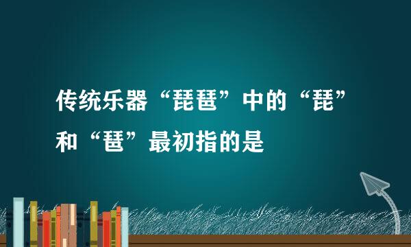 传统乐器“琵琶”中的“琵”和“琶”最初指的是