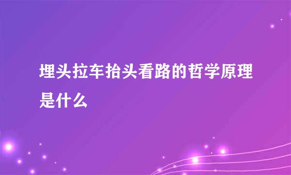 埋头拉车抬头看路的哲学原理是什么