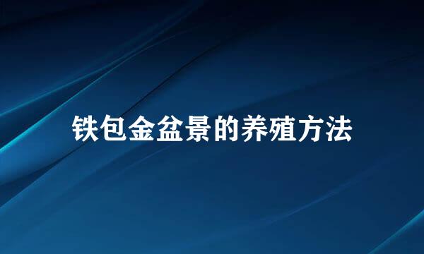 铁包金盆景的养殖方法