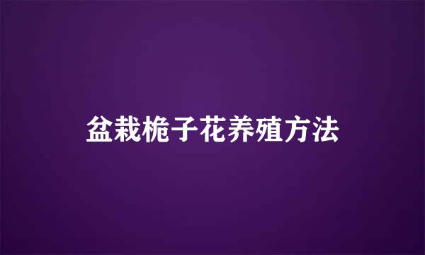 盆栽桅子花养殖方法