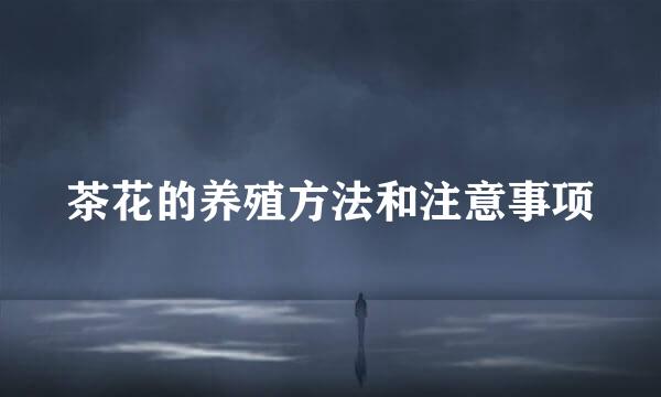 茶花的养殖方法和注意事项