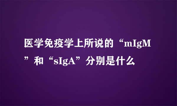 医学免疫学上所说的“mIgM”和“sIgA”分别是什么