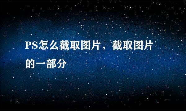 PS怎么截取图片，截取图片的一部分