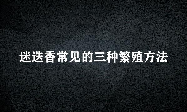 迷迭香常见的三种繁殖方法