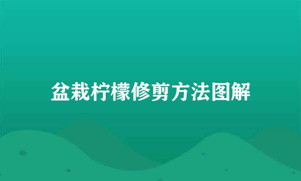 盆栽柠檬修剪方法图解