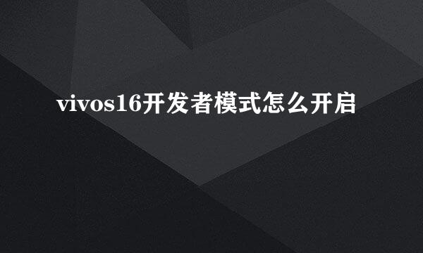 vivos16开发者模式怎么开启