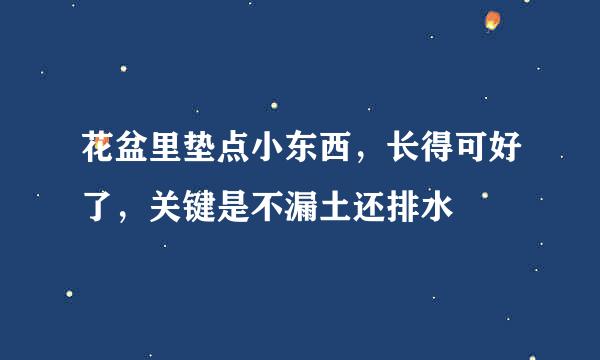 花盆里垫点小东西，长得可好了，关键是不漏土还排水